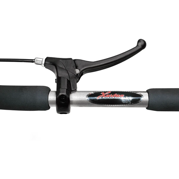 Hartan Pram Racer GTX Met Handrem Zeezijde (207) Framekleur Zilver 3 Hartan Pram Racer GTX Met Handrem Zeezijde (207) Framekleur Zilver - Afbeelding 3