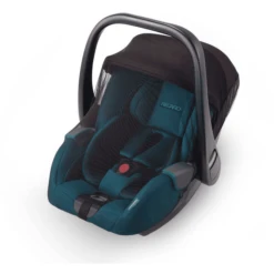 RECARO Insectenhor Black Voor Babystoeltjes